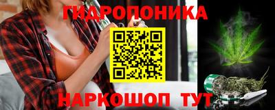 гашик Каменск-Шахтинский