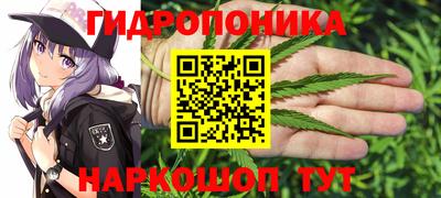 соль ск Камень-на-Оби