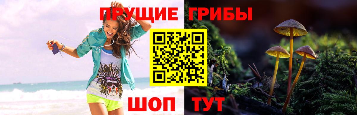 Галлюциногенные грибы Psilocybine cubensis  Вход с VPN  где найти   Кулебаки 